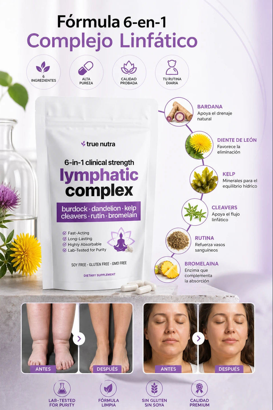 Complejo Linfático 6 en 1 Anti inflamatorio (90 cápsulas)