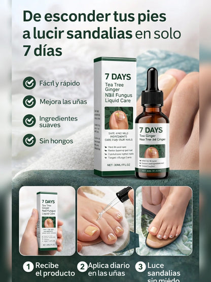 05 Como funciona