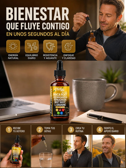 05 Como funciona