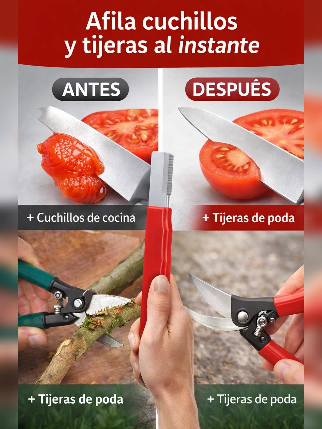 02 Problema y solucion