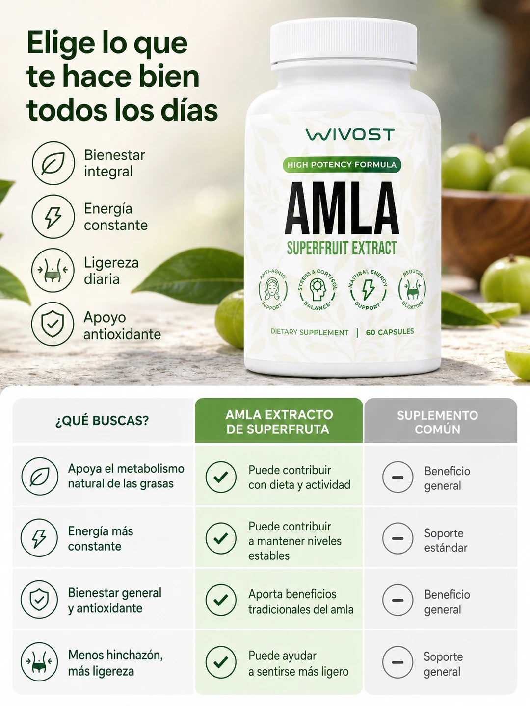 04A Comparativa de decision