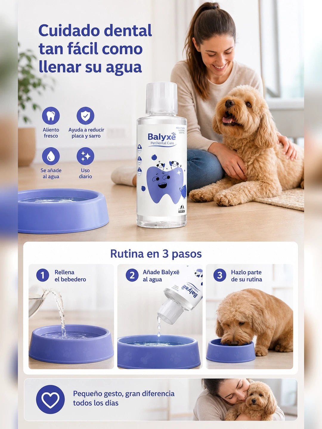 05 Como funciona