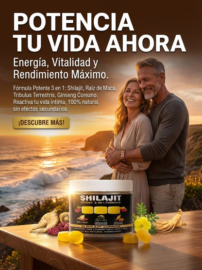 Gomitas de Shilajit 100% Puro del Himalaya (Pack de 30 Gomitas)