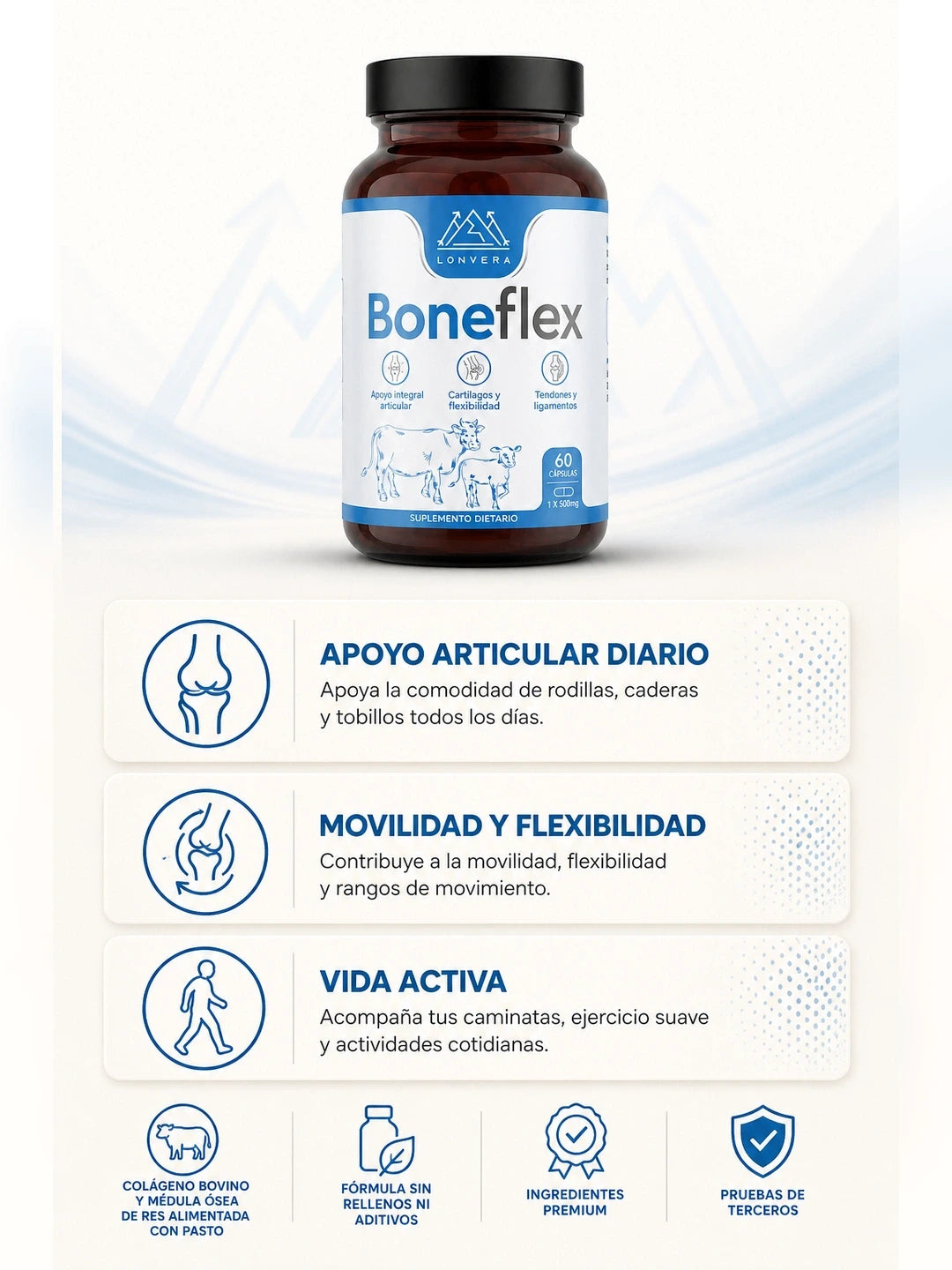 02A Beneficios con iconos