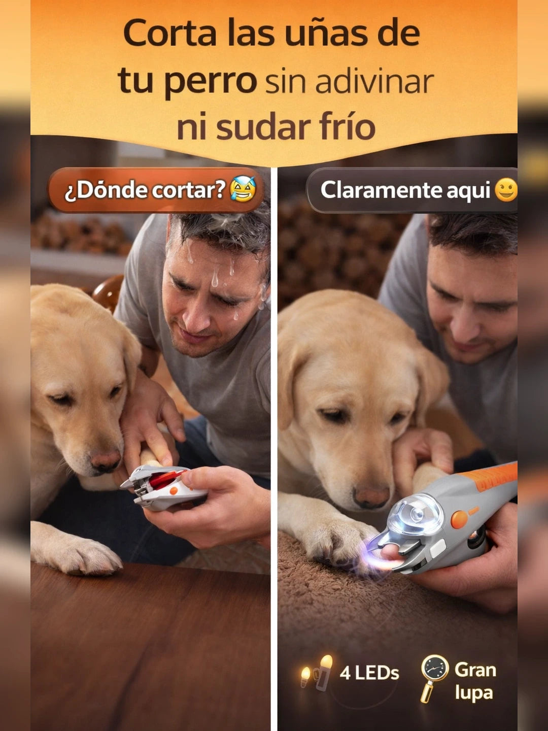 02 Problema y solucion