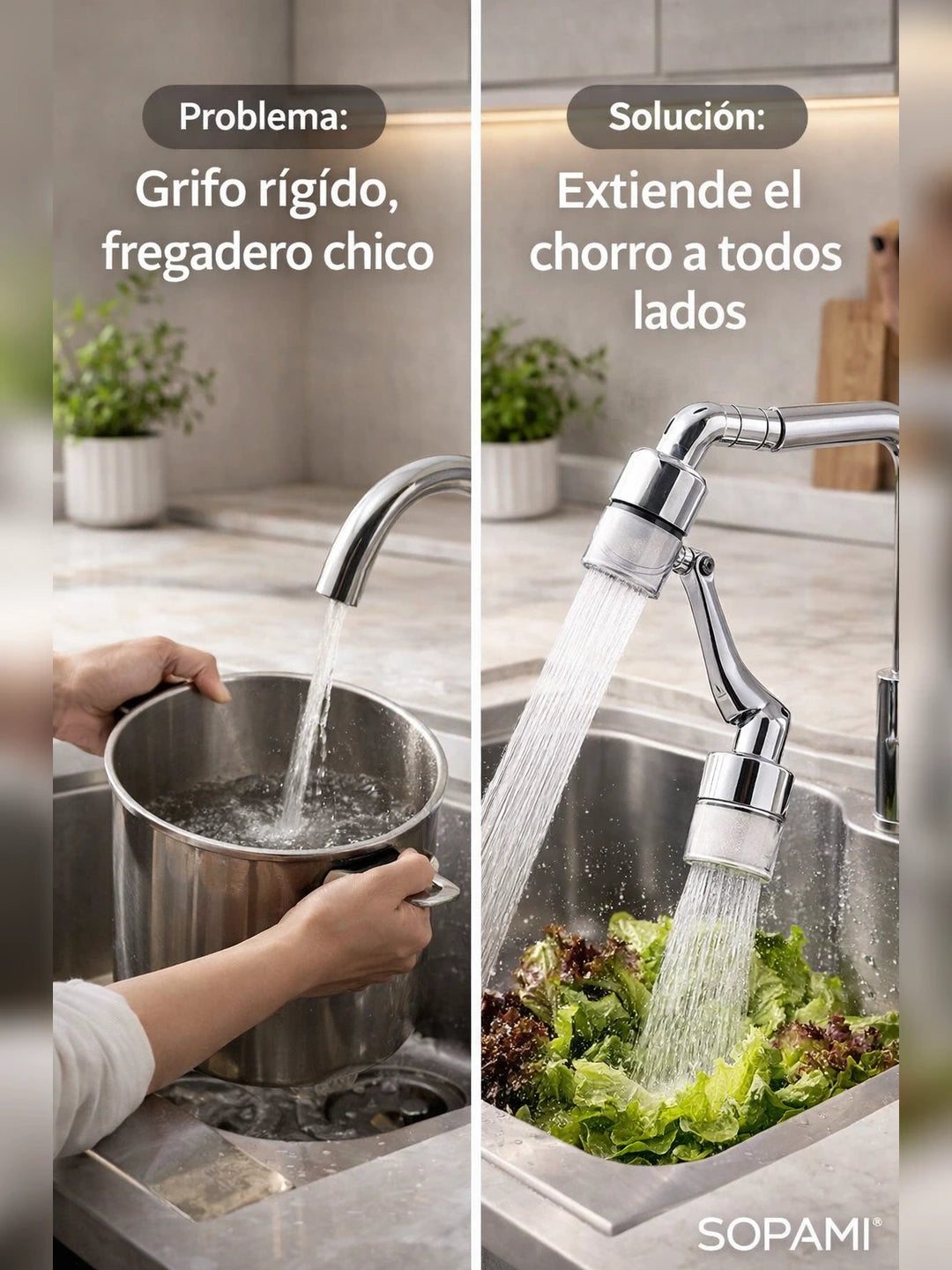 02 Problema y solucion