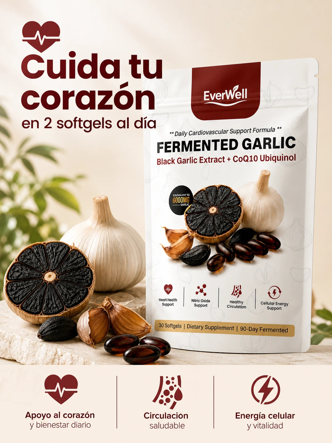 04 Top beneficios
