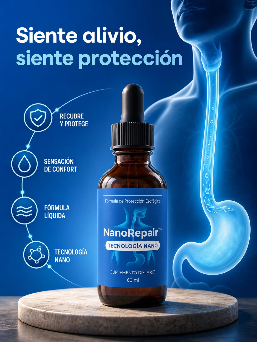 03 Propuesta unica