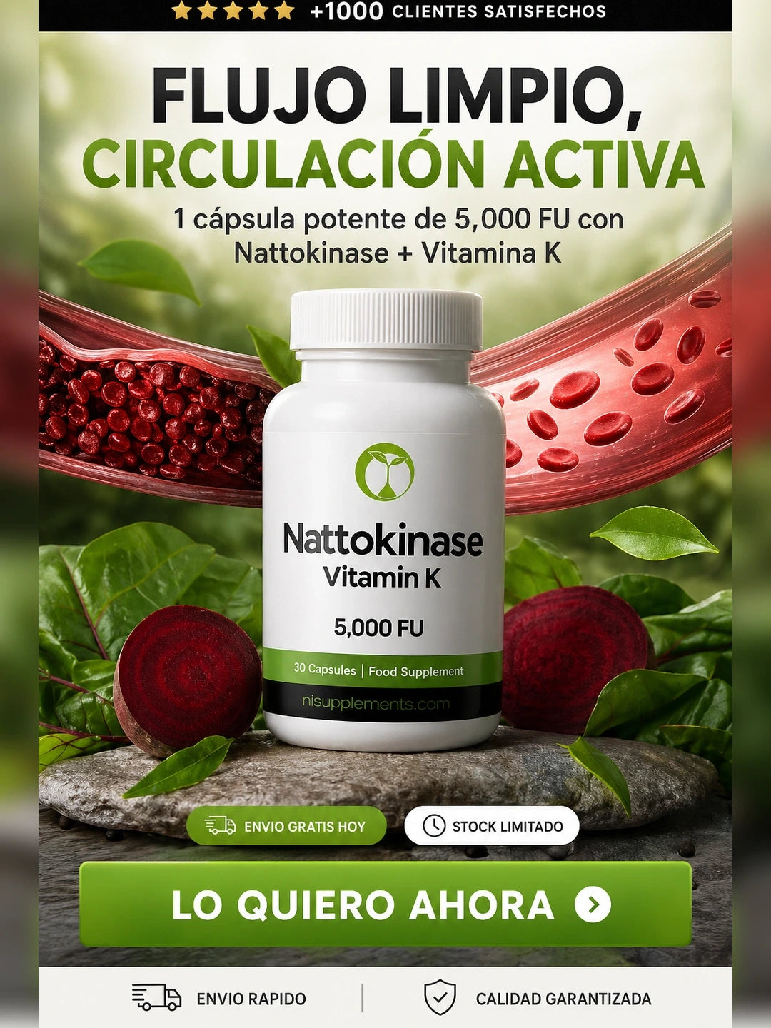 Nattokinase - Mejora de Circulación Arterial (90 cápsulas)