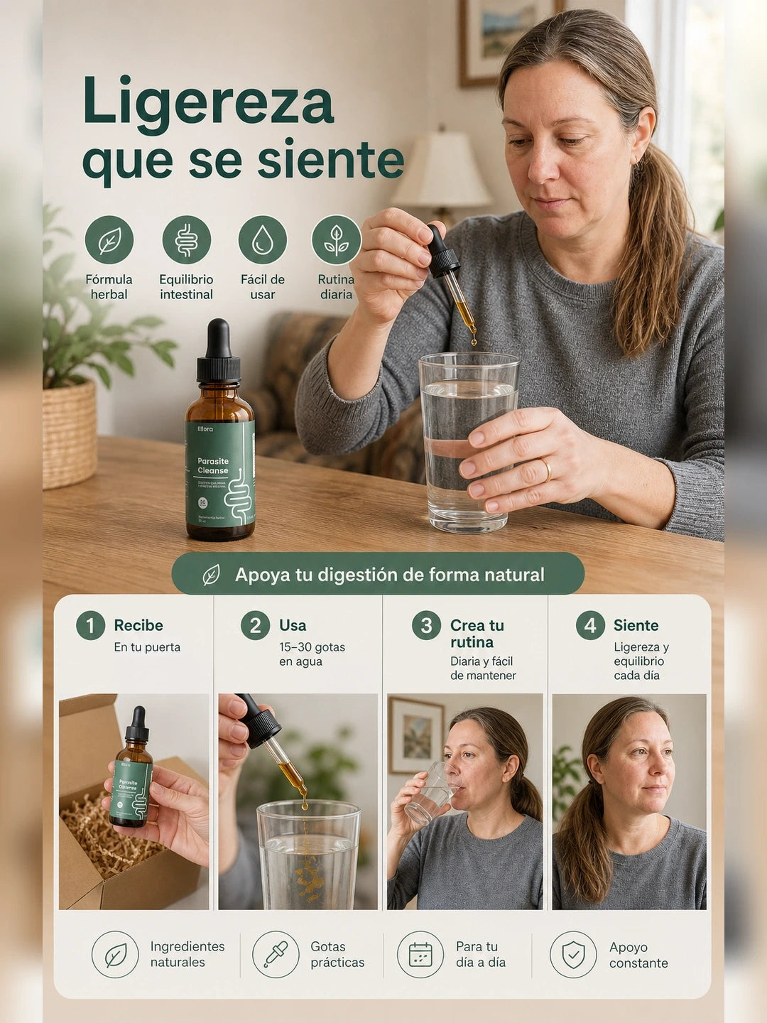 05 Como funciona