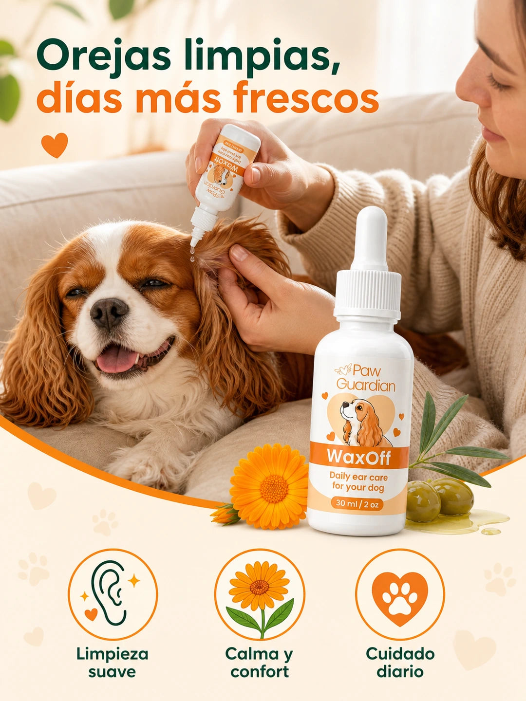 04 Top beneficios