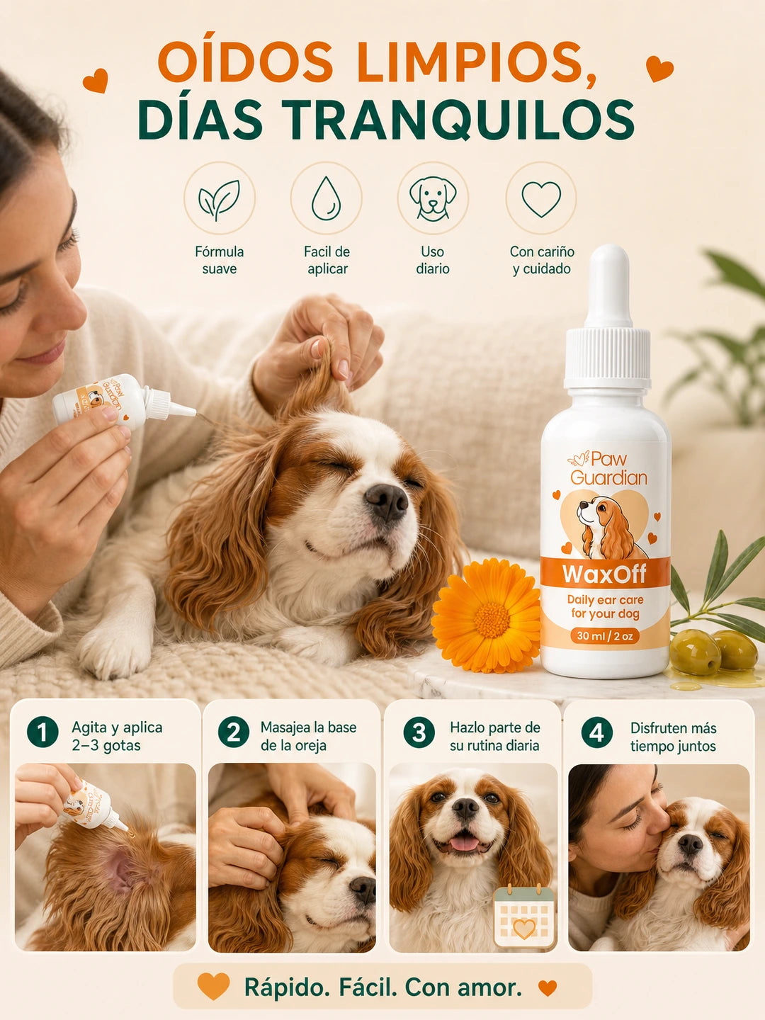 05 Como funciona
