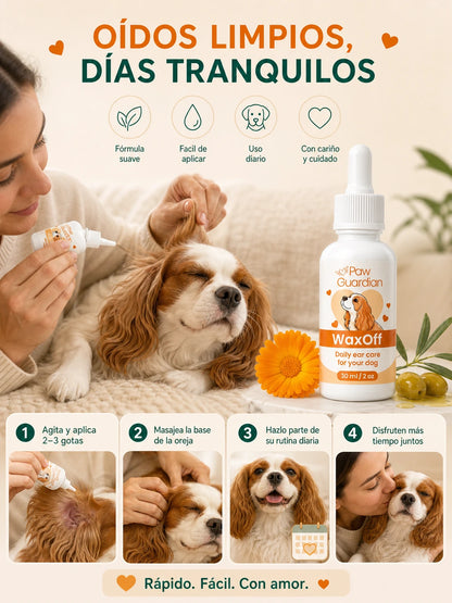 05 Como funciona