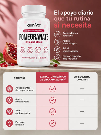 04A Comparativa de decision
