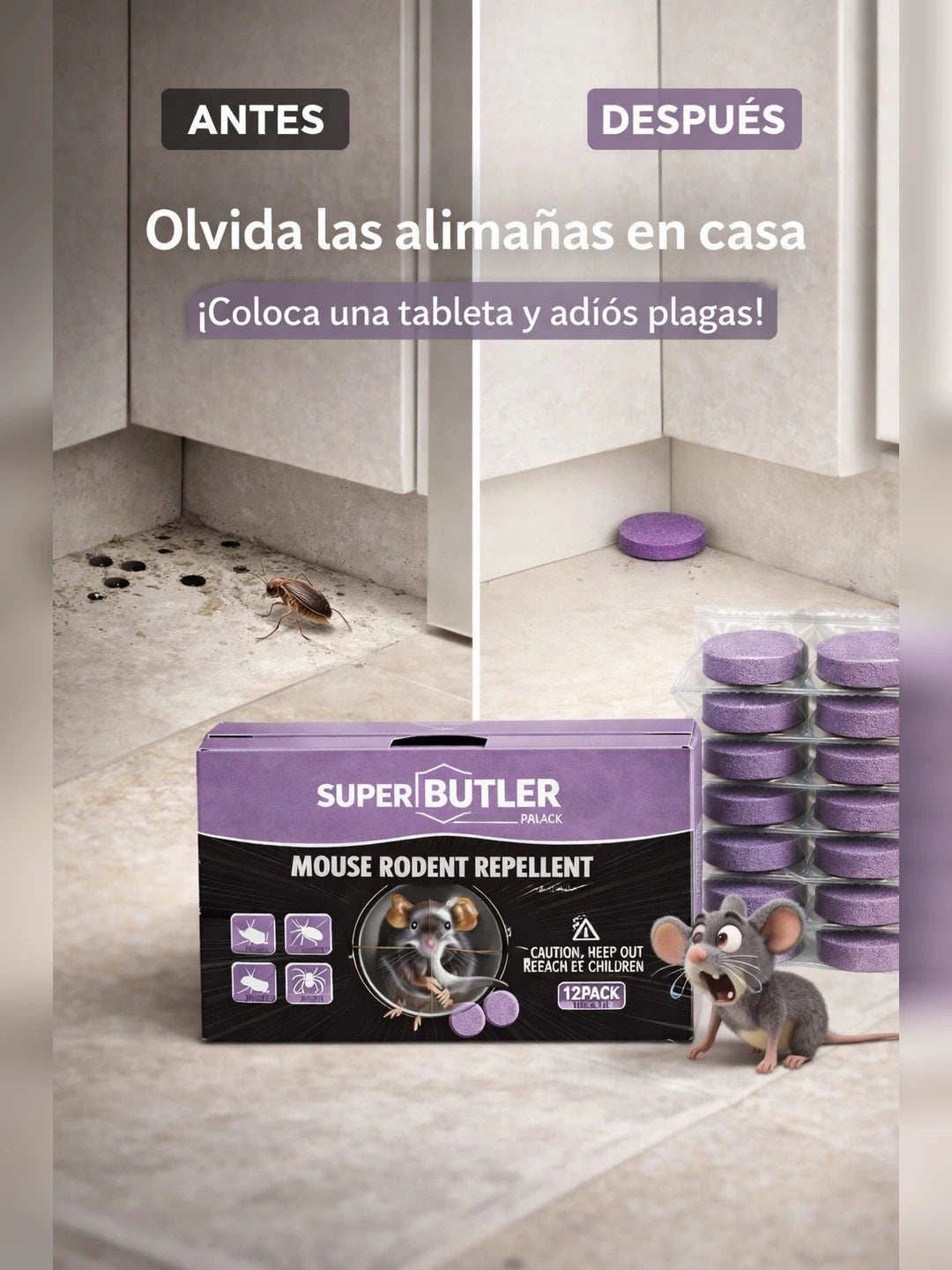02 Problema y solucion