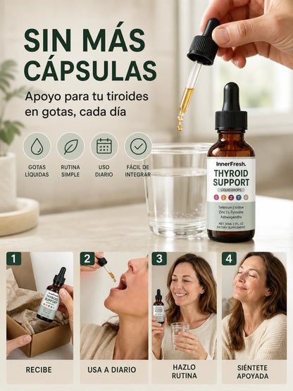 05 Como funciona