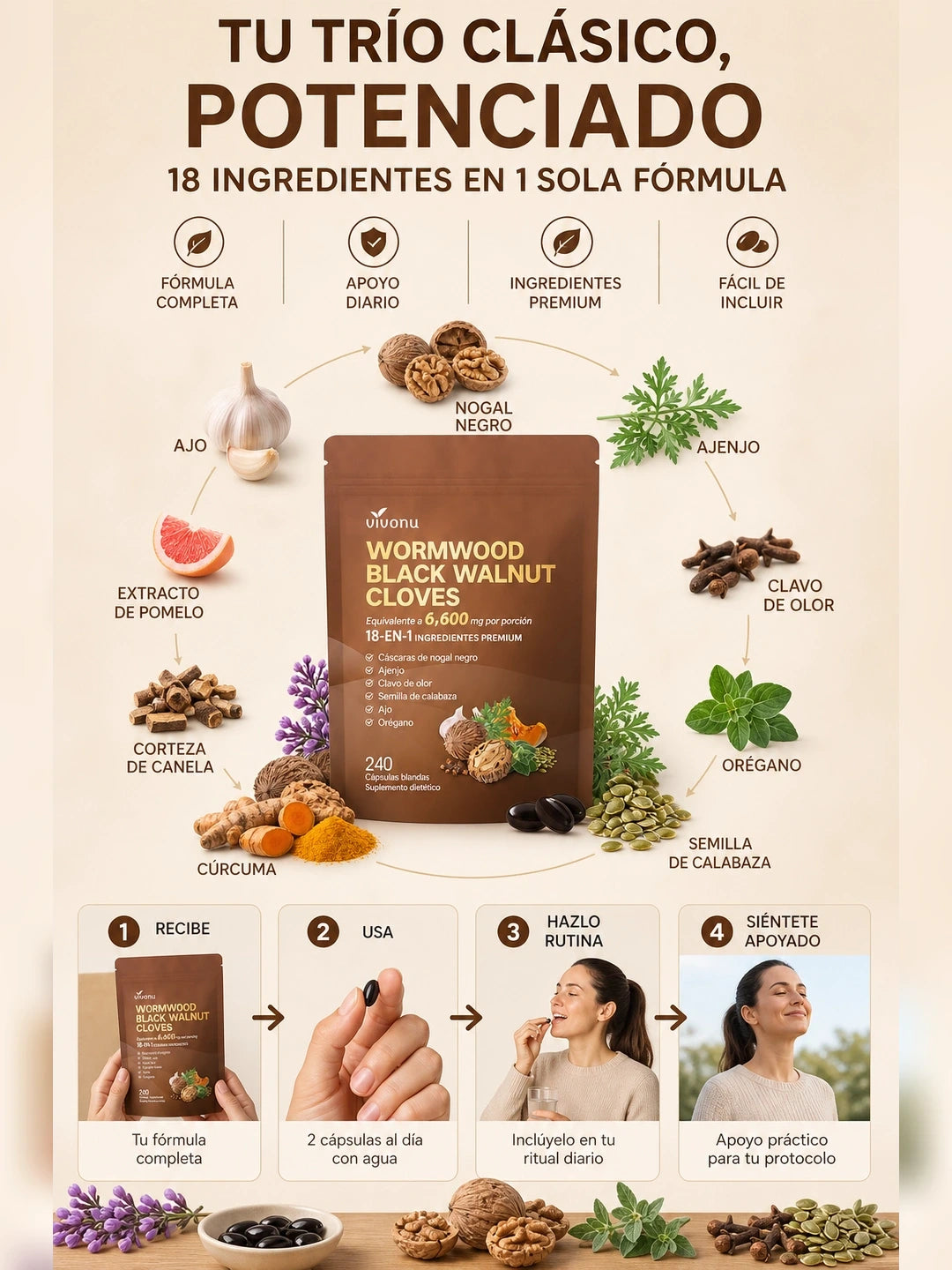 05 Como funciona