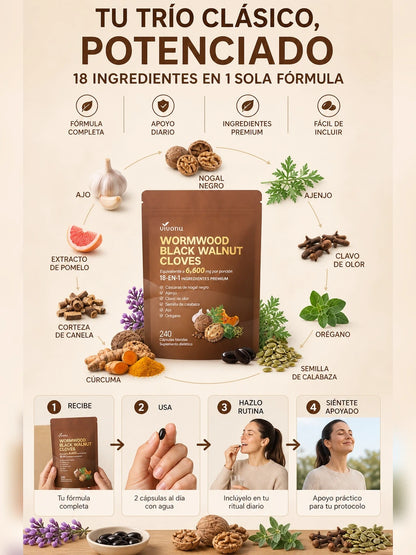 05 Como funciona